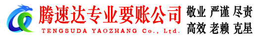 江城清债公司